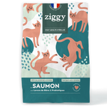Croquettes Chat Adulte Saumon Sans Céréales