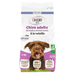 Croquettes Repas Complet Chien Moyenne Et Grande Race